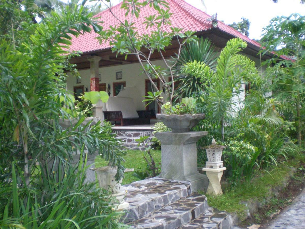 Villa Aditya Tejakula Extérieur photo